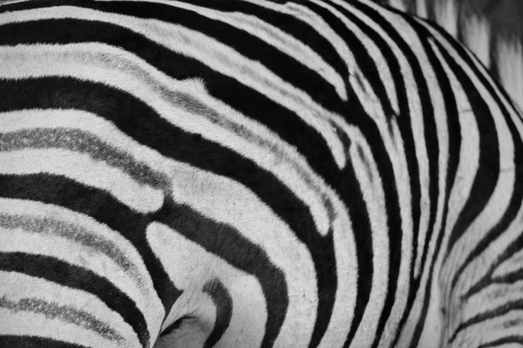 Visa struggles on Spring&nbsp;day