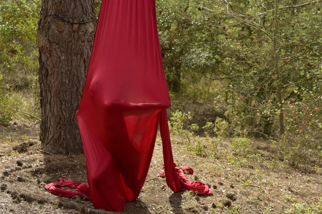 Reviving the magic: Flors Festival 2024, an Immersive Art and Music Experience in&nbsp;Tarragona