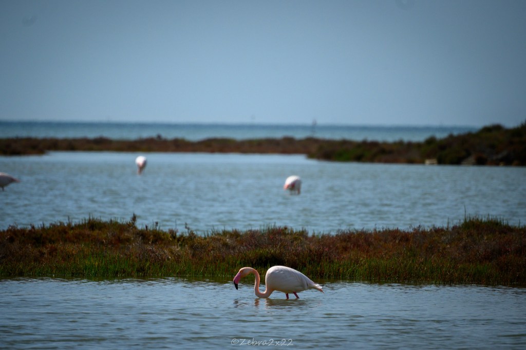 Life beyond routine : Embracing Change, Yoga, and Photography Before&nbsp;Africa