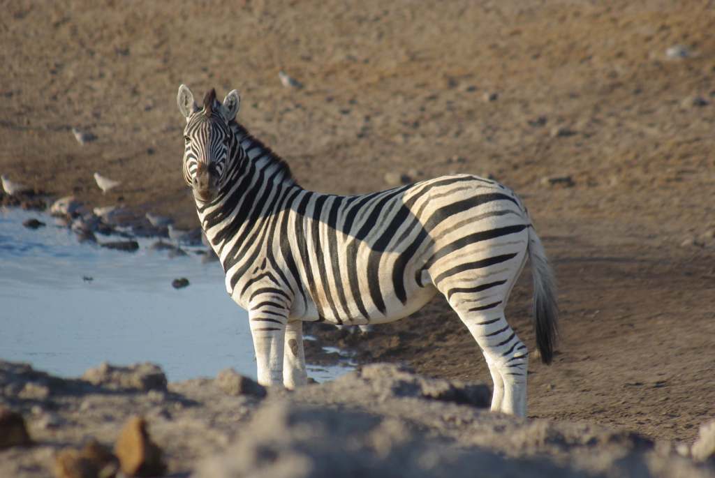 Preparing for a New&nbsp;Chapter