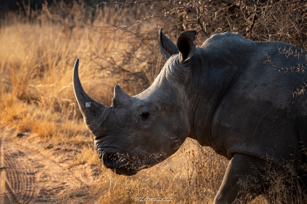 How I Became Qualified as a Nature Field&nbsp;Guide
