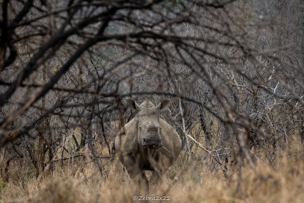 A journey to&nbsp;Freedom