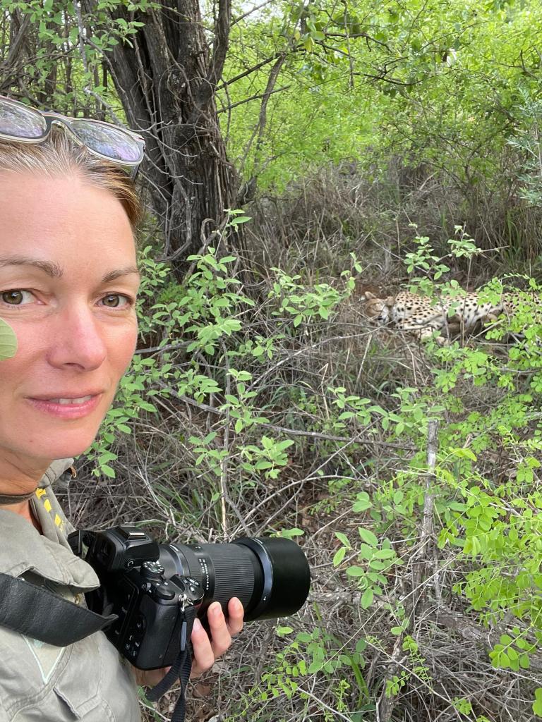 Cheetah cubs watch duty