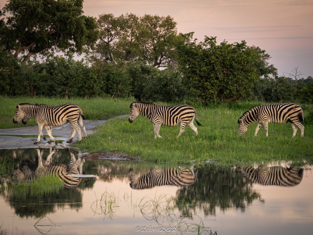 Rainy Season in&nbsp;Botswana