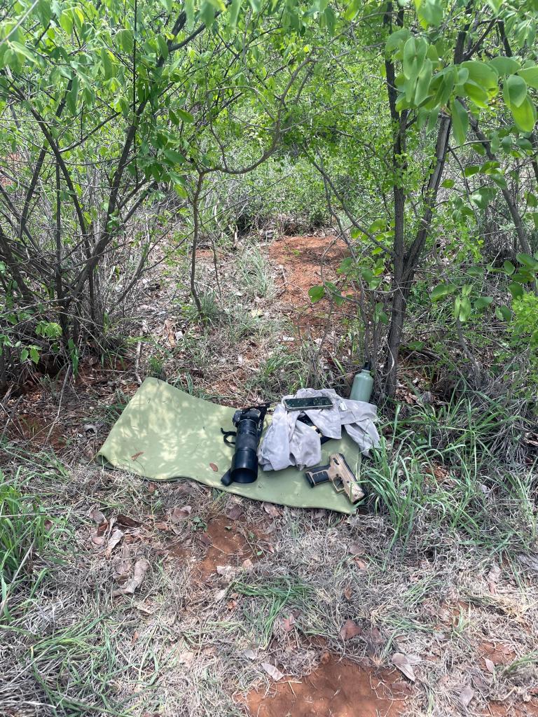 Cheetah watch duty setup