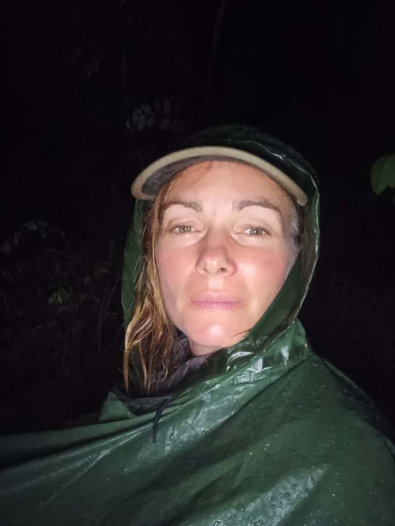 Cheetah watch duty at night under the rainstorm