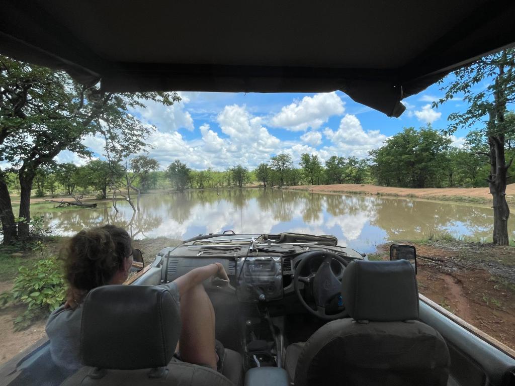 Getting prepared for the elephant herd sighting