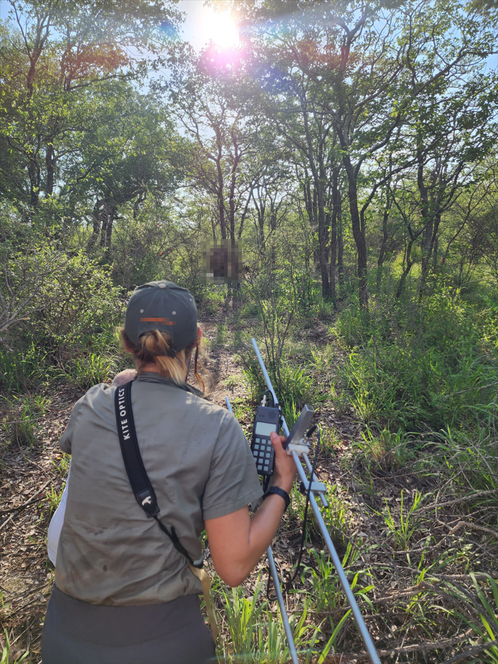 Finding animals with telemetry