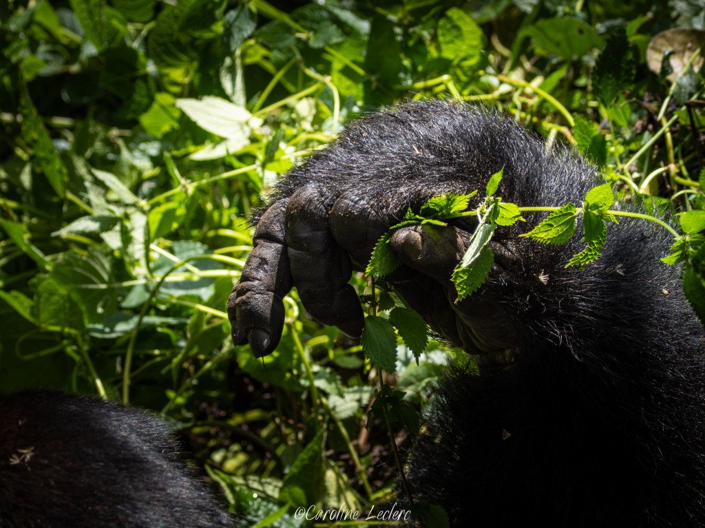 Happy 2026. January. Where I am on this&nbsp;journey.