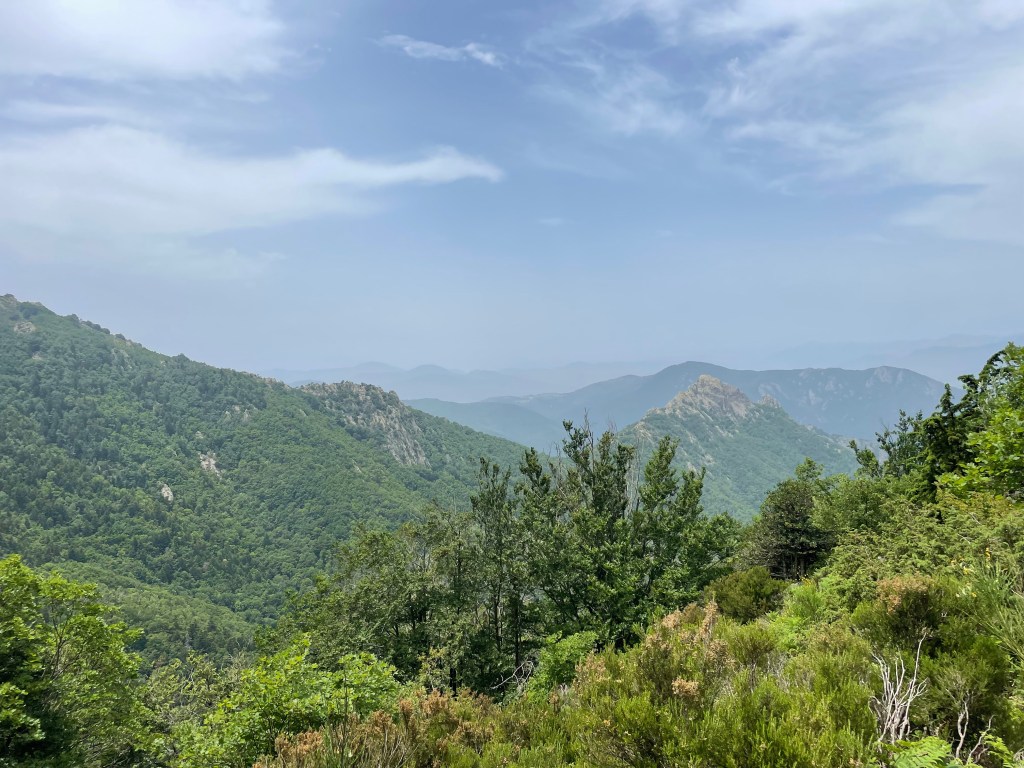 Walking in the Pyrenees