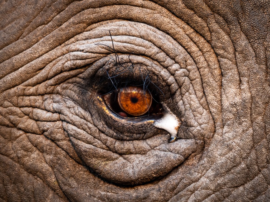 My Voluntourism Experience with Imvelo in Zimbabwe