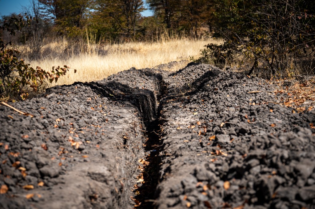 Building a wildlife trough