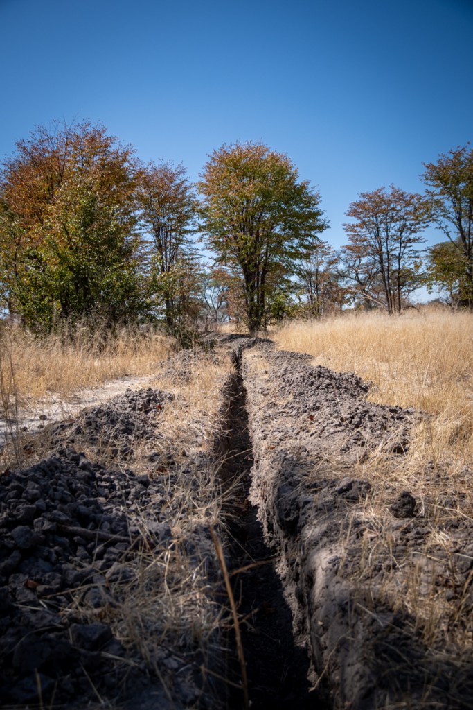 Building a wildlife trough