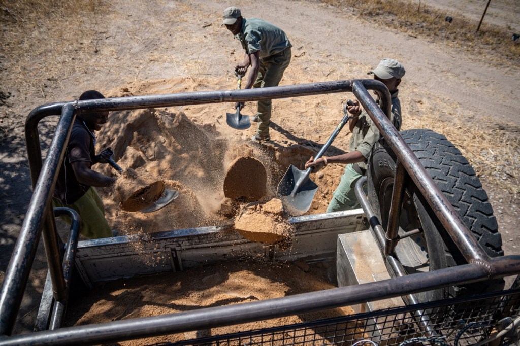 Building a wildlife trough