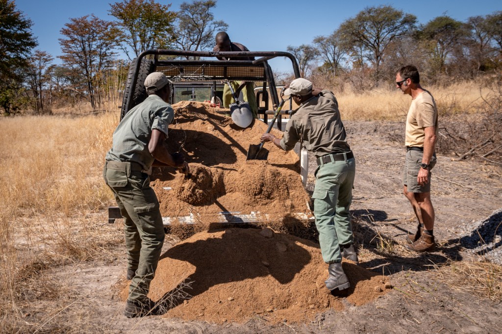 Building a wildlife trough
