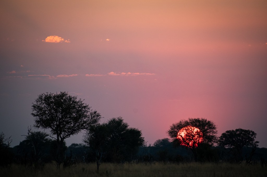 Sunset in Hwange National Park
